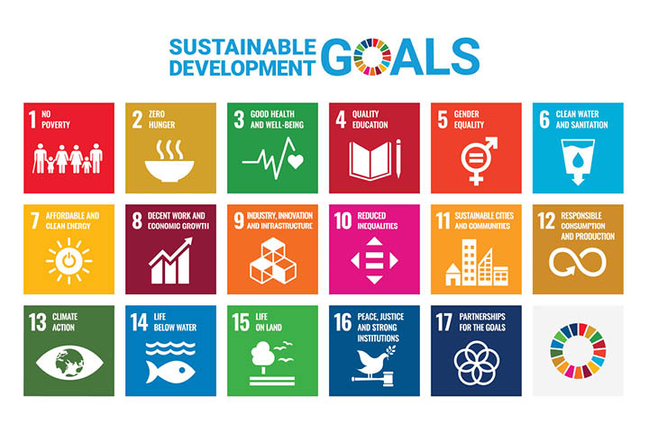 Graphic showing the 17 Sustainable Development Goals