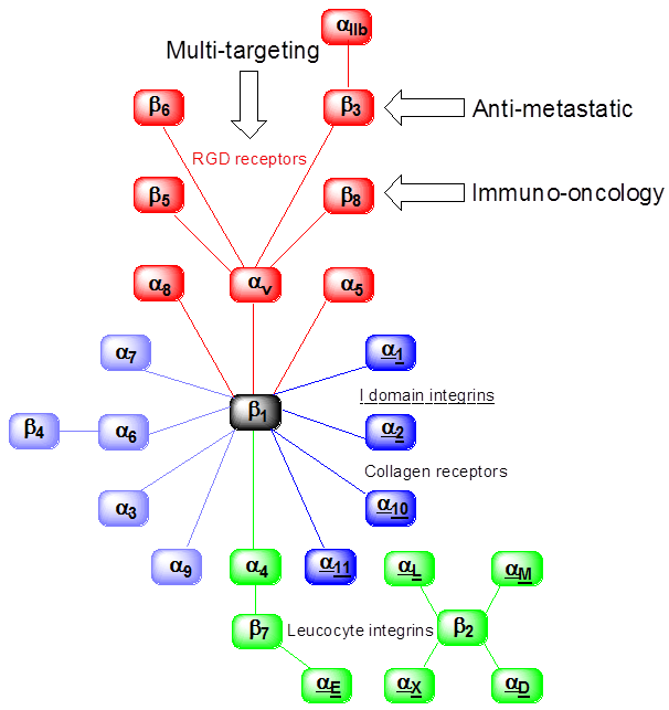 Integrin image