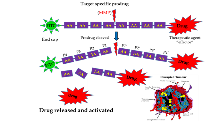 MMP schematics cancer research