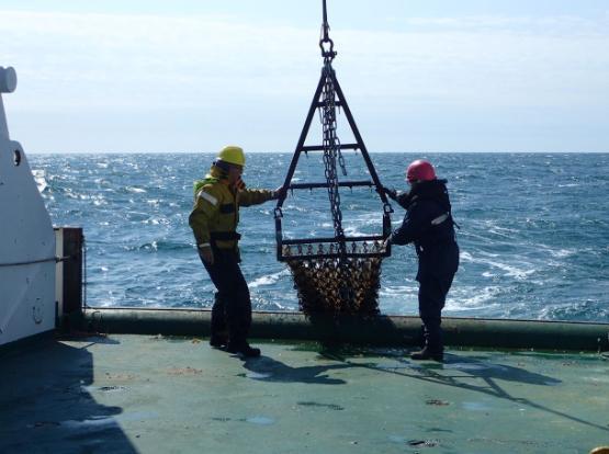 Dr Simon Fitch on a dredging vessel in North Sea