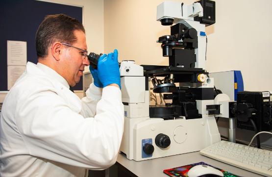 rof Sherif El-Khamisey in the lab