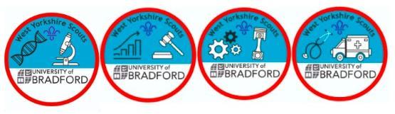 Scout badges