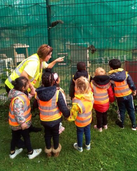 Nursery school children look at bees