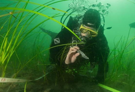 Underwater excavation