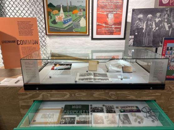 A series of glass cabinets with exhibits on peace inside a museum