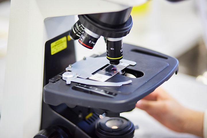 A microscope with a petri dish on the stage.