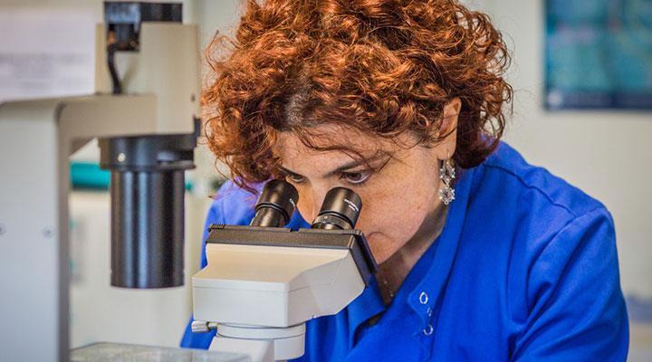 Student looking through a microscope