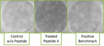 Skin pigment compared across three slides